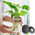 12PCS Kratky Lids for Wide Mouth Hydroponic Mason Jars, Hydroponic Lids with Hole for Aerogardens Pods