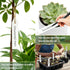 EMBRASUN 350 (350PCS) Plant Labels PCS, Slim White Garden Plant Tags with Holes, PP Plastic Waterproof Labels
