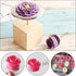 12 PCS Cake Decorating Supplies, Woohome 8 PCS Cake Flower Nail, 2 PCS Flower Lifters, 1 PCS Icing Dispensers