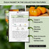 Sow Right Seeds - Rare Exotic Vegetable Seed Collection for Planting - Non-GMO Heirloom Beets, Broccoli, Cucamelon