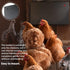 150 Econohome Safe Chicken Coop Heater, Safer Than Brooder Lamps, Gently Warm, Watts, ETL Compliant for Safety - Also