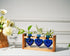 3-Heart Kingbuy Plant Terrarium Kit with Vintage Wood Stand - Stained Glass Vase Propagation Station, Wall-Mounted