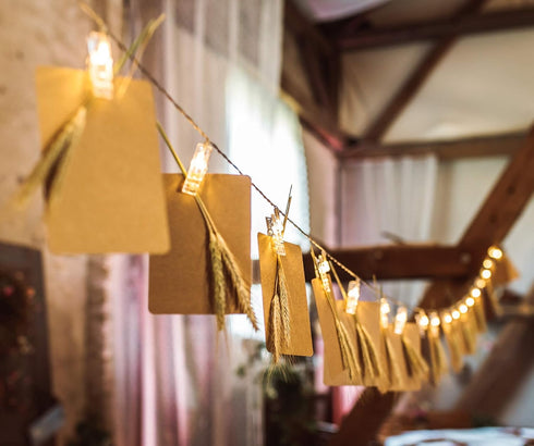 Cobus CozyHome 5.5YD 30x - photo string with clips battery with timer remote | light clips led | hanging fairy picture