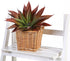JUSTOYOU Large Artificial Succulents Aloe Plants - Real Touch Fake Flowers Unpotted (1, Green-Red)
