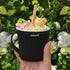 Homakover Frozen Ice Cream Sleeve Pint Sized Cooler Cover Neoprene Insulator, Hard Bottom Ice Cream Pint Holder