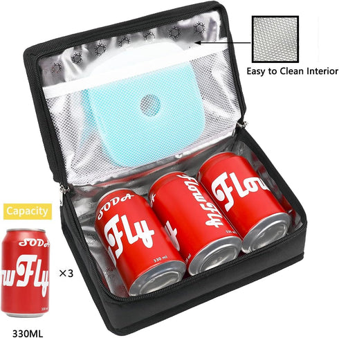 FlowFly Portable Small Insulated Lunch Box, Soft Bag Mini Cooler Thermal Meal Tote Kit with Handle for Work