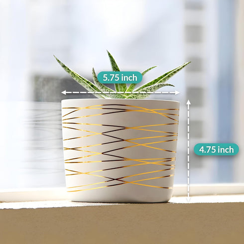 Willowy 6 Inch Ceramic Pot, Matte White with Gold Stripes, Drainage Plug Included
