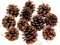 Whaline 25 Pcs Christmas Pine Cones Decoration with String, Natural Rustic Pinecones Bulk Ornaments for Crafting