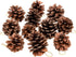 Whaline 25 Pcs Christmas Pine Cones Decoration with String, Natural Rustic Pinecones Bulk Ornaments for Crafting