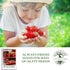 250+ Sweetie Cherry Tomato Seeds (Solanum lycopersicum) Non-GMO & Heirloom Seeds, Extra Sweet Flavor, Ideal