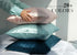 100% Mulberry Silk Pillowcase for Hair and Skin, 22 Momme Natural Silk Pillow Cover with Zipper, Beige