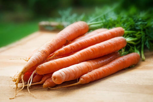 1.5g 91% Gaea's Blessing Seeds - Carrot Seeds - Tendersweet - Non-GMO Seeds with Easy to Follow Planting Instructions