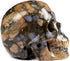 Skullis 2.0” Que Sera Stone Crystal Skull, Hand Carved Gemstone Fine Art Sculpture for Reiki Healing