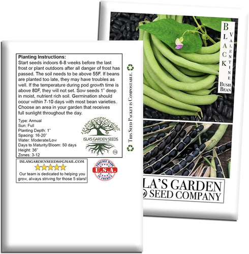50+ Packet, "Black Valentine" Bush Bean Seeds, Heirloom Seeds Per Non GMO Seeds, (Isla's Garden Seeds), Botanical Name: