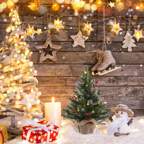 MEETYAMOR 2 FT Mini Christmas Tree, 24" Prelit Small Artificial Tabletop Snow Flocked Christmas Trees with Timer and