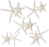 Nautical Crush Trading Starfish Decor, 5 White Starfish 4-6" and 5 Knobby Starfish 2-3.5" for Coastal Party