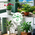 Yiqianhome 8PCS 4 Climbing Plant Stem Supports Sizes, Reusable Plastic Stakes Indoor/Outdoor Garden Flower Growth