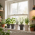10 33pcs Set 4-Color Indoor Herb Garden Kit, Complete Kitchen Herb Starter Including Pots, Soil & Tools, Unique Gift