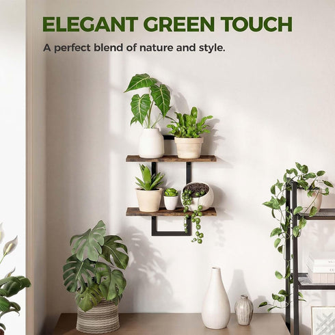 Bamworld Wall Planters for Indoor Plants Window Plant Shelves Vertical Plant Holder Wall Decor Plant Stand Indoor