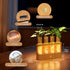 4 Lightalent Rechargeable Plant Propagation Station with Stepless LED Light, Wooden Stand & Propagation Test Tubes
