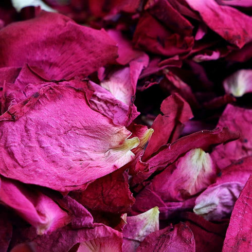150 Grams/5.3 OZ Natural Dried Red Rose Flower Petals for Wedding Decoration, Bath, Crafts Accessories