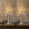 EAMBRITE Lighted Birch Tree Spring Decorations for Home, Christmas Indoor Decorations, 2 Pack 24 LED Battery