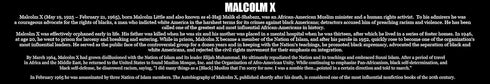 777 Tri-Seven Entertainment Malcolm X Poster, Truth is On Side of The Oppressed, 24" x 18", Multicolor