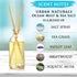 Urban Naturals Ocean Mist & Sea Salt Reed Diffuser Set, Decorative Air Freshener, Essential Oils & Botanicals