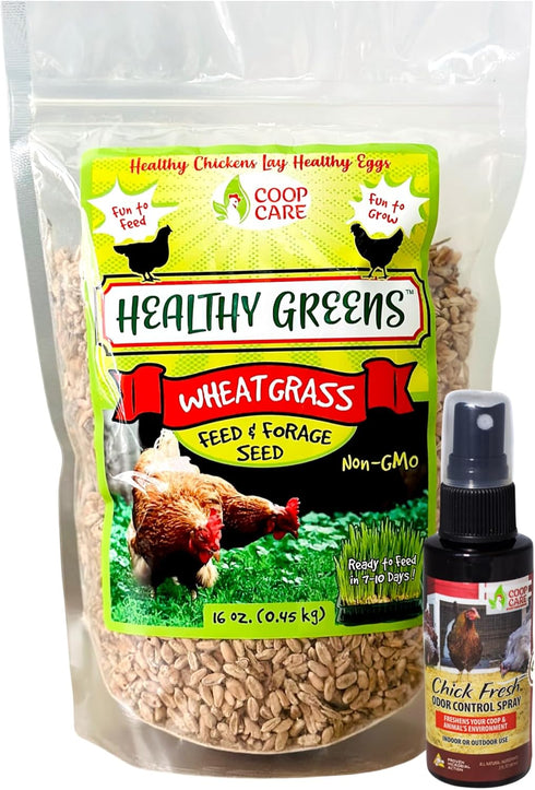 Healthy Greens Wheatgrass Scratch Feed & Fodder Seed, 1lb Bag. Premium Wheat