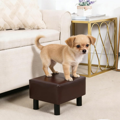 Compact Faux Leather Footrest Ottoman - Brown Small Stool