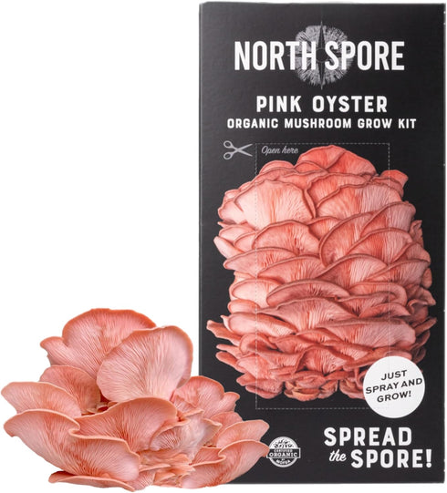 (4 lbs) North Spore Organic Pink Oyster Mushroom Spray & Grow Kit | USDA-Certified Organic, Non-GMO, Beginner-Friendly
