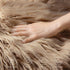 Ashler Faux Fur Rug, Beige Area Rugs, Fluffy Sheepskin Fur Rug, 2 x 3 Ft, Machine Washable Shag Rug
