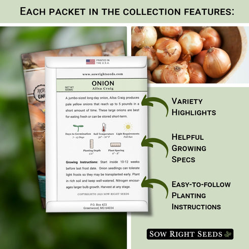 Sow Right Seeds - Long Day Onion Seed Collection for Planting - Yellow Sweet Spanish, Ringmaster, Ruby Red, Ailsa