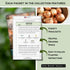 Sow Right Seeds - Long Day Onion Seed Collection for Planting - Yellow Sweet Spanish, Ringmaster, Ruby Red, Ailsa