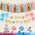 Baby Gender Reveal Decorations - Glitter Letters Banner with Hearts, Tissue Paper Tassels Garland Set
