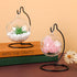30 Tatuo Pcs Ornament Display Stand Christmas Holder Hanger Stands Glass Ball Ornament Holder Metal Iron Hanging Hanger