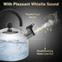 Lily's Home 2 Quart Stainless Steel Whistling Tea Kettle, Perfect Stovetop Tea and Water Boiler for Home, Dorm,