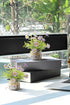 2Pcs,Daisies Daisy Artificial Flowers in Cement Vases Faux Flowers Farmhouse Home Coffee Table Bookshelf Office Desk