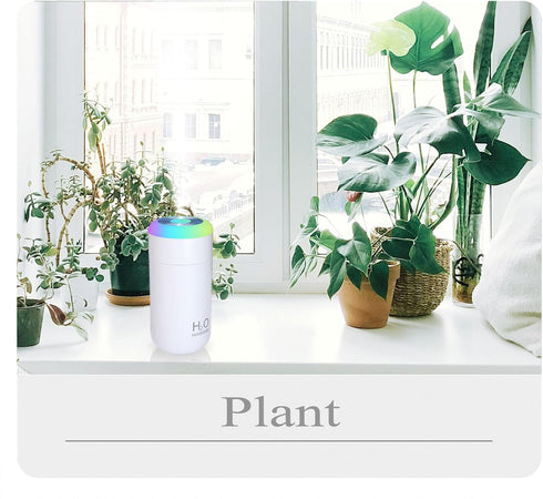 Plant Humidifier, 350ml USB Mini Humidifier for Plants, Small Humidifier with Night Light, Cool Mist for Indoor Use