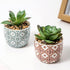 Artificial Plants Succulent Flowers in Ceramic Planter, 2 Pack Small Fake Plants for Home Office Desk Decor
