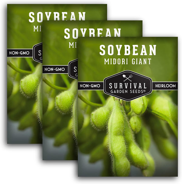 Midori Giant Soybean Seeds for Planting - Grow Protein-Rich Edamame Pods in