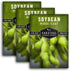 Midori Giant Soybean Seeds for Planting - Grow Protein-Rich Edamame Pods in