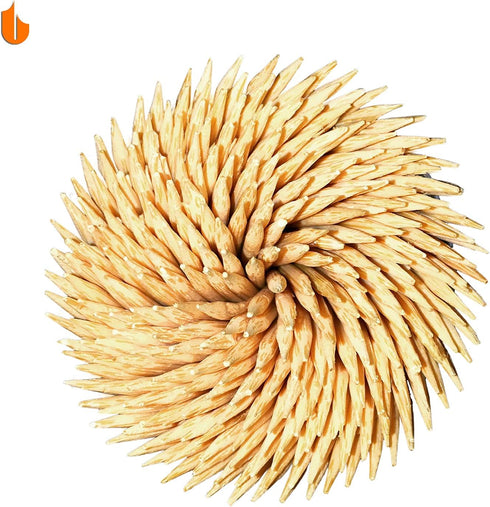 Urbanstrive 2 Pack Sturdy Safe Toothpick Holder with 800 Natural Wood Toothpicks, Light Blue Home Design
