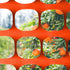 4'x100' 1 Houseables Plastic Mesh Fence, Construction Barrier Netting, Orange, Feet, Roll, Garden Fencing, Fences Wrap
