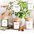 GPOVVIMX 12 191 8.5oz Pcs Glass Spice Jars with Bamboo Airtight Lids and Labels - Small Food Storage Containers