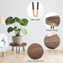 Plant Stand Indoor Outdoor, Mid Century Style Walnut Wood Color Plant Stand,Waterproof Design Modern Plant Table,Easily