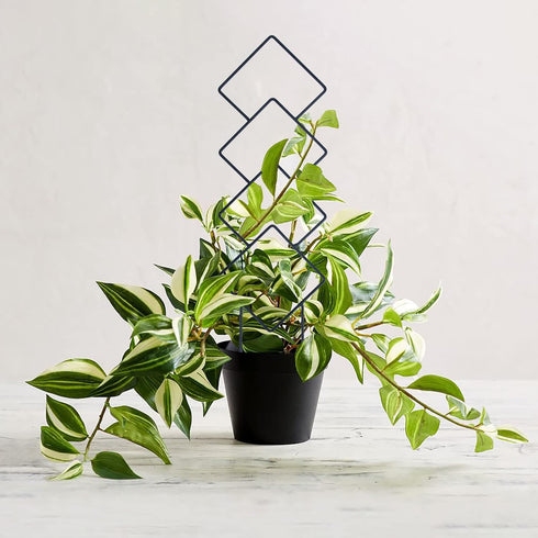 16inch 4 Pack Wellsign Indoor Plant Trellis for Climbing Plants, Small Garden Metal Trellis for Potted Plants Outdoor