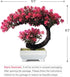 8.5" Fake Plants Small Artificial Bonsai Tree for Home Decor Living Room Bathroom Bookshelf Entryway Table Wall Shelf