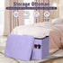 300 lbs, 17x13x13IN Small Ottoman with Storage, Folding Soft Fur Storage Foot Rest Stool with Thicker Furry Padded