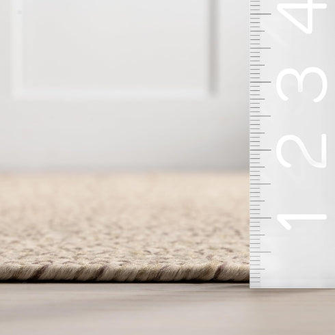 nuLOOM Wynn Braided Indoor/Outdoor Accent Rug, 2x3, Tan by nuLOOM